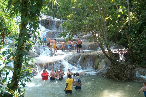 Ocho Rios Under The Palmsヴィラ エクステリア 写真