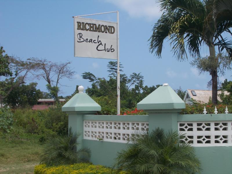 Ocho Rios Under The Palmsヴィラ エクステリア 写真