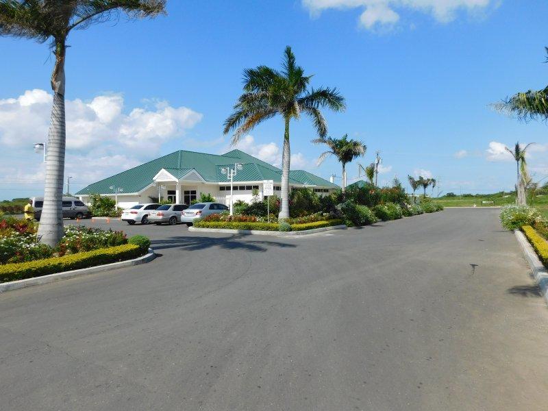 Ocho Rios Under The Palmsヴィラ エクステリア 写真