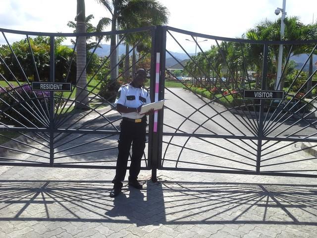 Ocho Rios Under The Palmsヴィラ エクステリア 写真