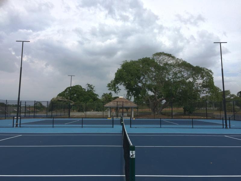 Ocho Rios Under The Palmsヴィラ エクステリア 写真