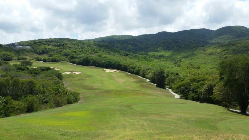 Ocho Rios Under The Palmsヴィラ エクステリア 写真